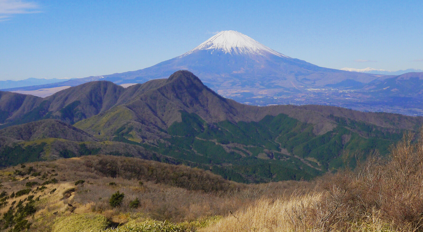 マウントビュー箱根